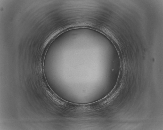 X0000073950789200609181400