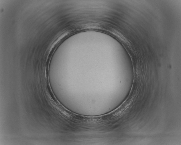 X0000073950790200609181400