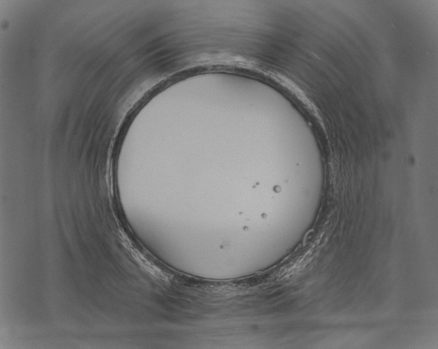 X0000073950791200609181400