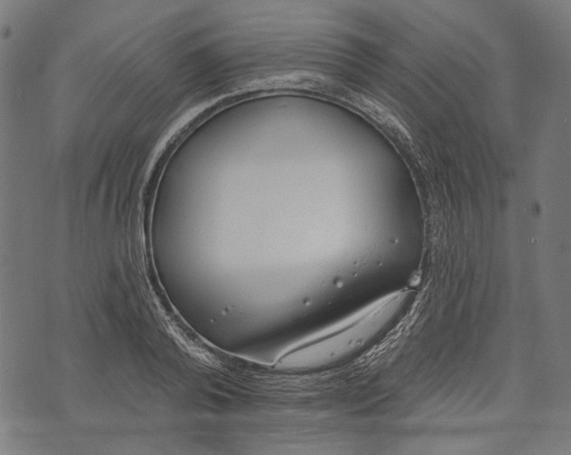 X0000073950792200609181400