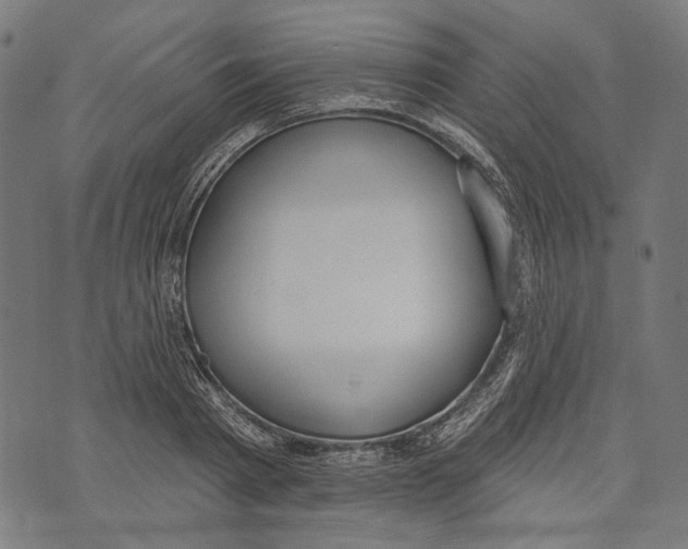 X0000073950793200609181400