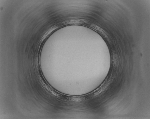 X0000073950794200609181400