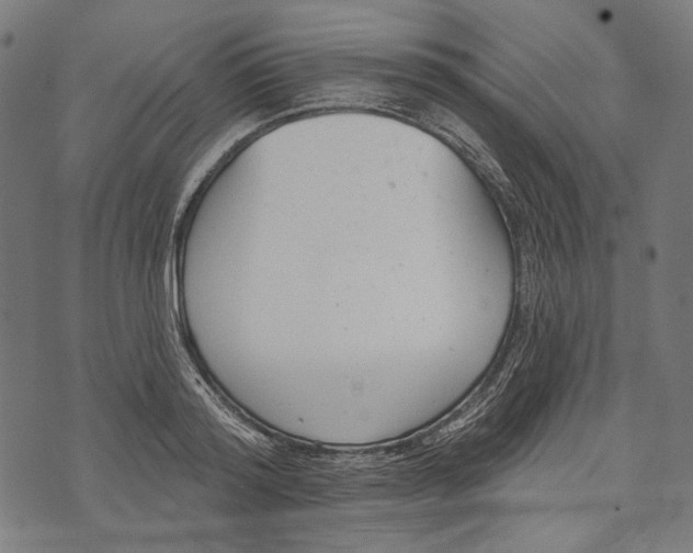 X0000073950796200609181400