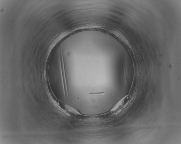 X0000073950797200609181400