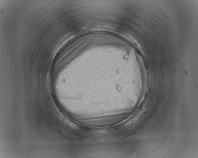 X0000073950798200609181400