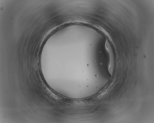 X0000073950799200609181400