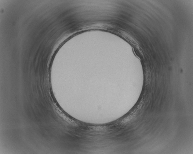 X0000073950800200609181400