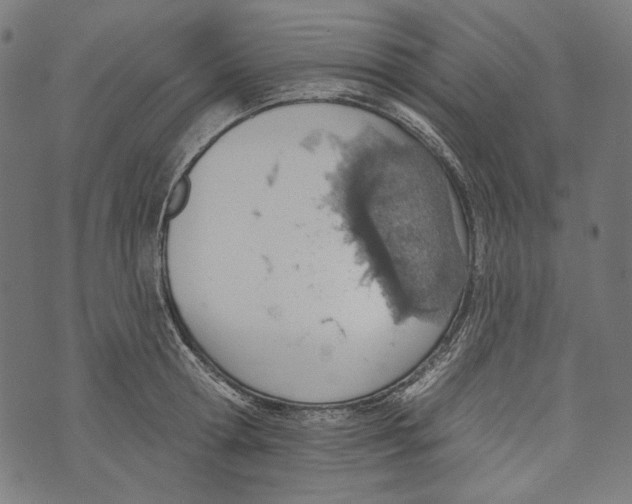 X0000073950802200609181400