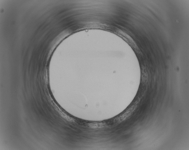 X0000073950804200609181400