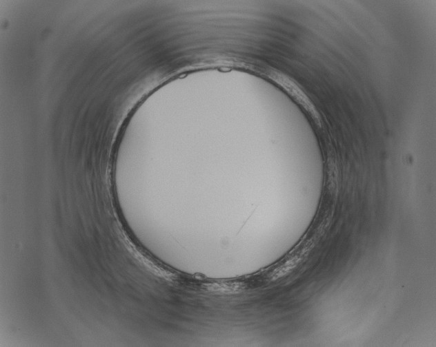 X0000073950805200609181359