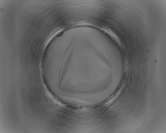 X0000073950806200609181359