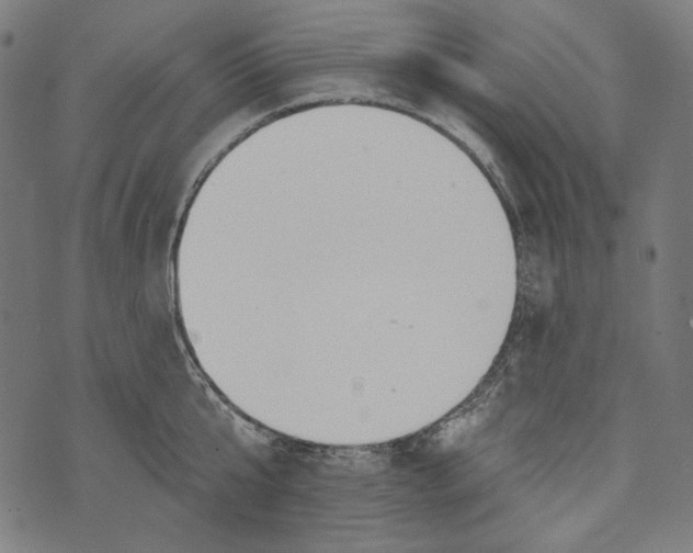 X0000073950807200609181359