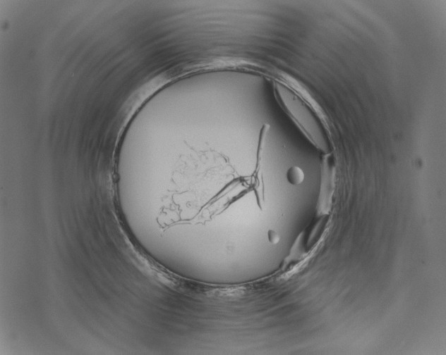 X0000073950810200609181359