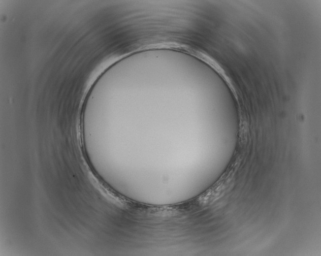 X0000073950811200609181359