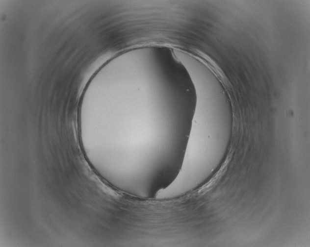 X0000073950812200609181359