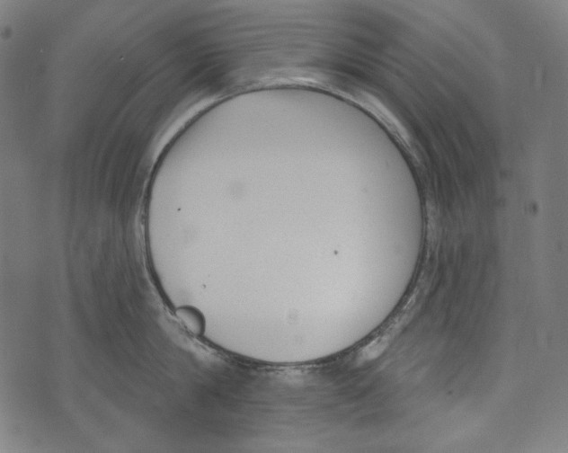 X0000073950814200609181359