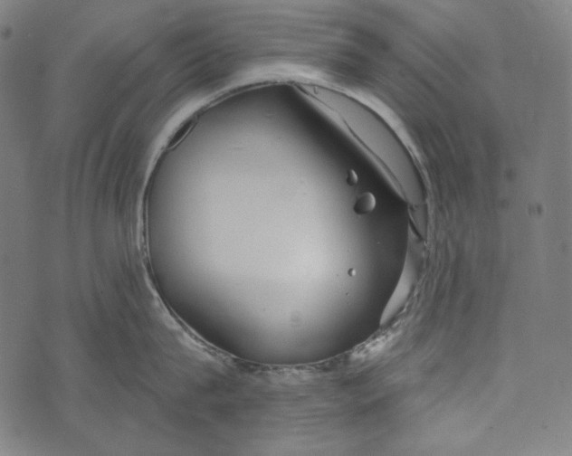 X0000073950815200609181359