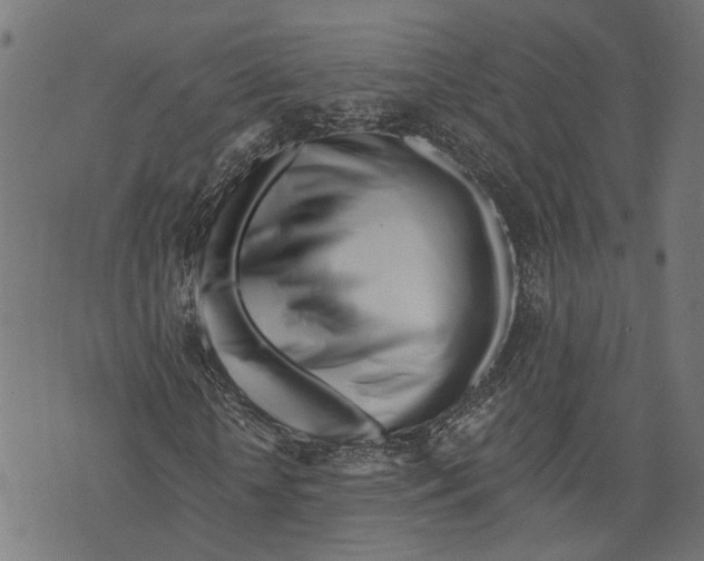 X0000073950818200609181359