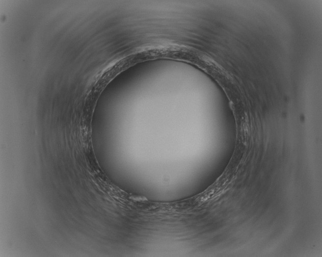 X0000073950822200609181359