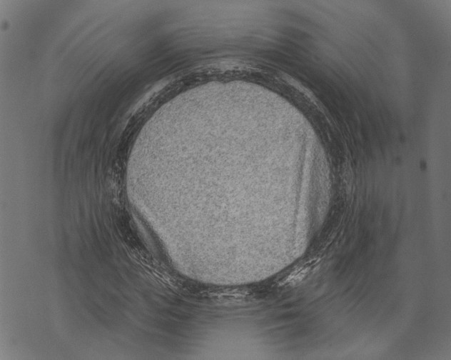 X0000073950823200609181359