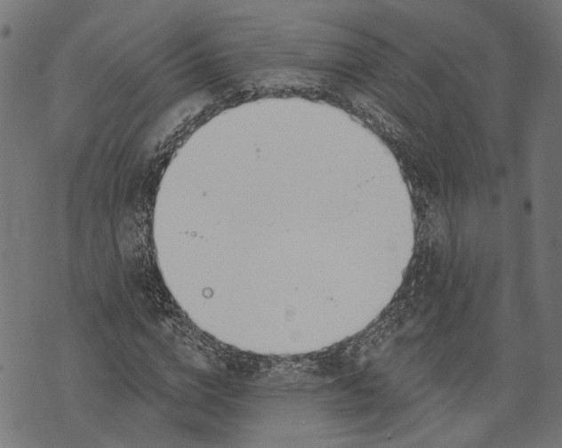 X0000073950824200609181359