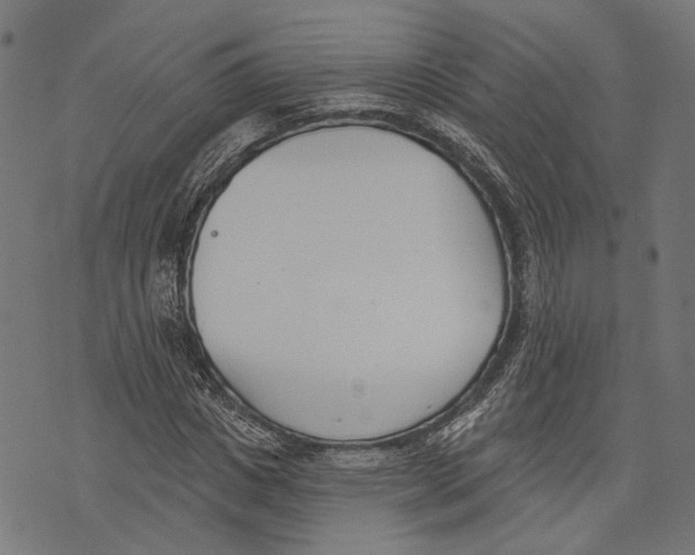 X0000073950825200609181359