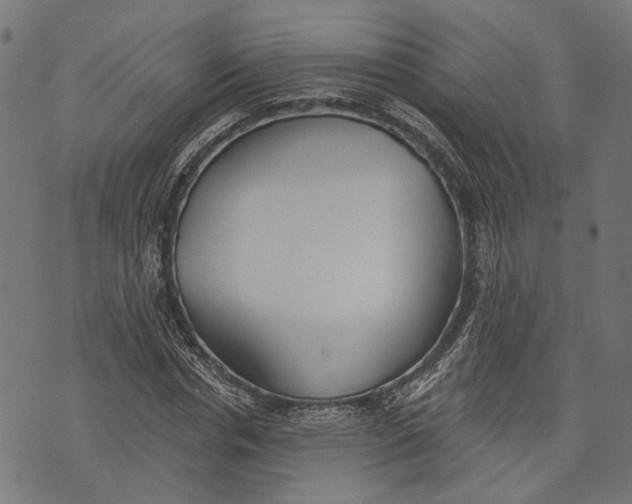 X0000073950826200609181359