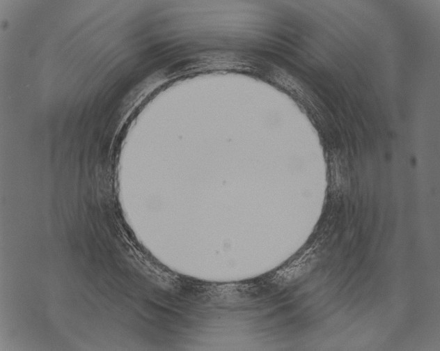 X0000073950828200609181359