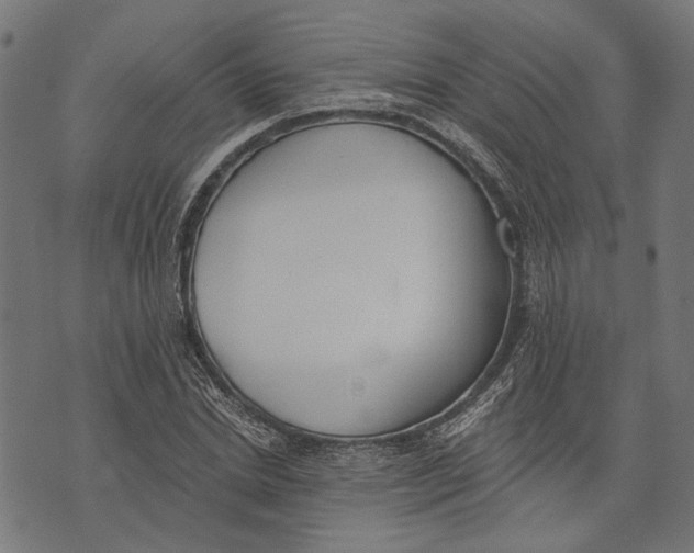 X0000073950830200609181359