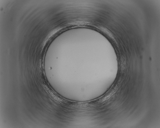 X0000073950831200609181359