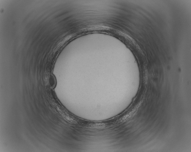 X0000073950833200609181359