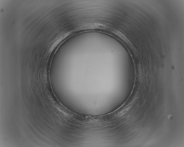 X0000073950834200609181359