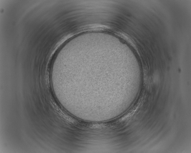 X0000073950835200609181359