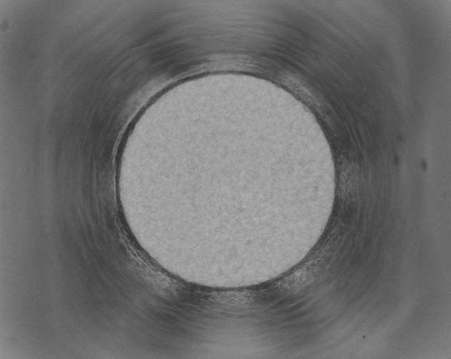 X0000073950836200609181359