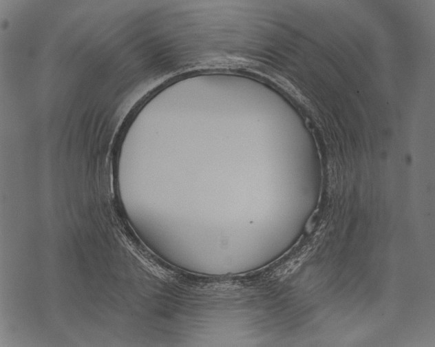 X0000073950838200609181359