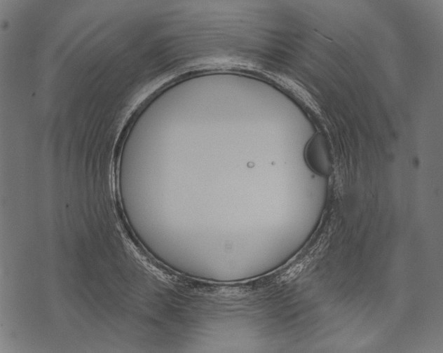 X0000073950839200609181359