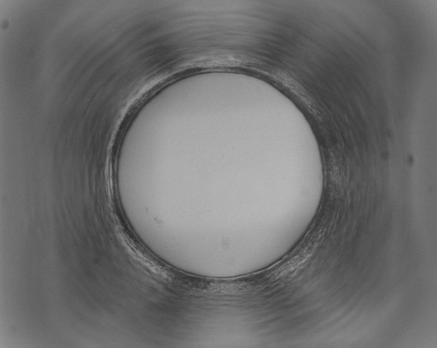 X0000073950840200609181359