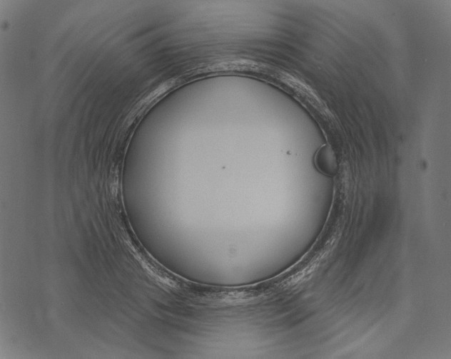 X0000073950841200609181359