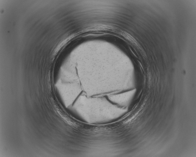 X0000073950842200609181359