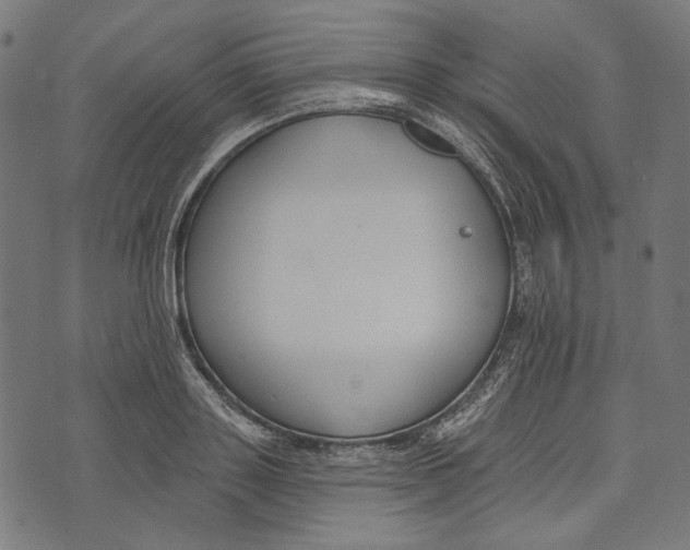 X0000073950843200609181359