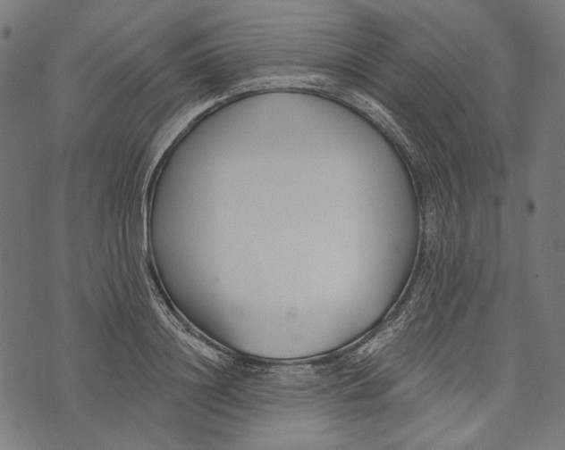 X0000073950844200609181359