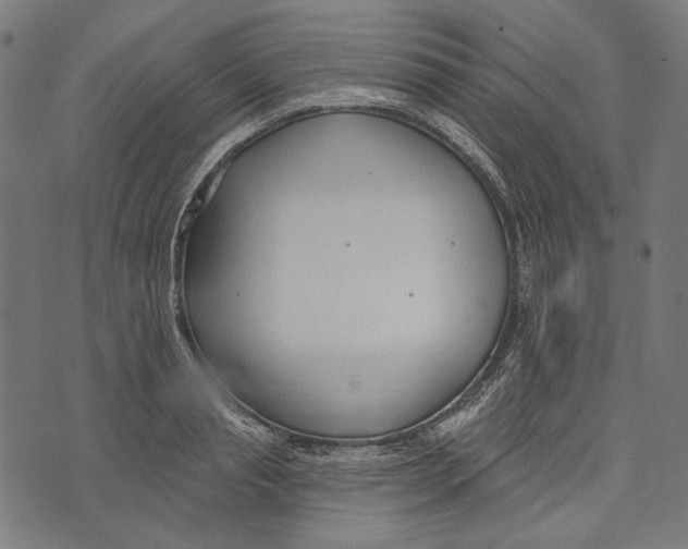 X0000073950845200609181359