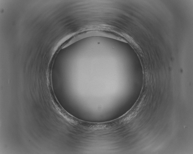 X0000073950846200609181359