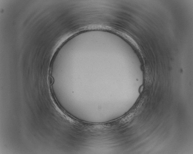 X0000073950847200609181359