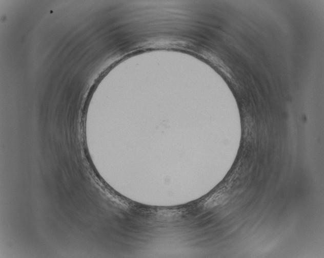 X0000073950848200609181359