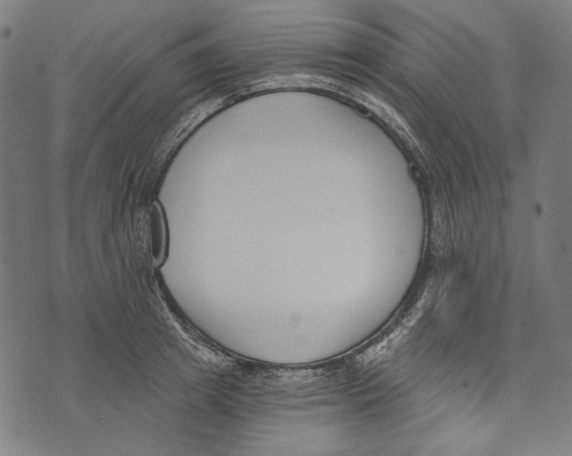 X0000073950849200609181359