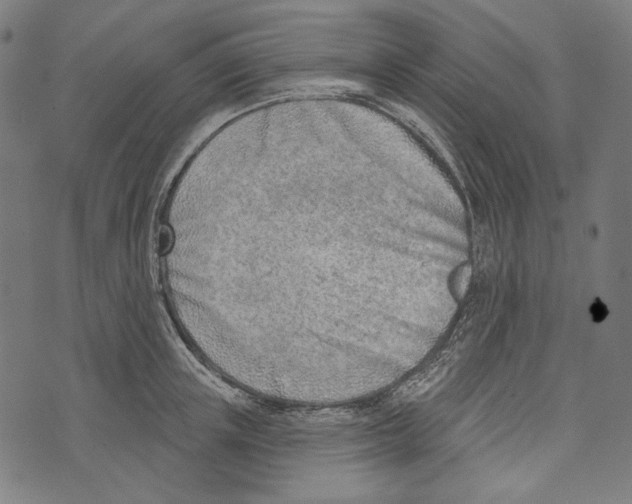 X0000073950851200609181359