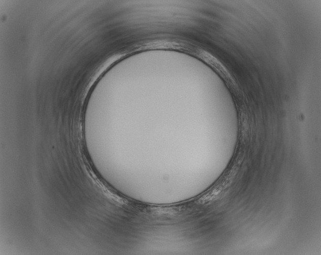 X0000073950852200609181359