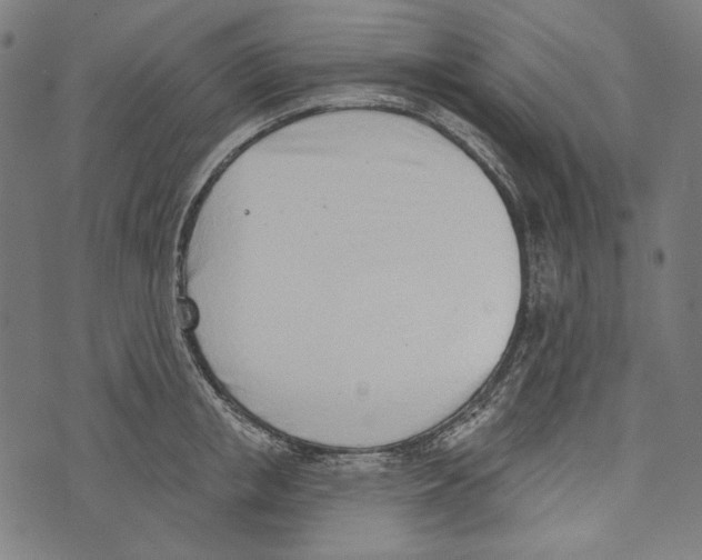 X0000073950853200609181359