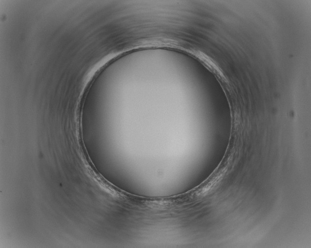 X0000073950854200609181359